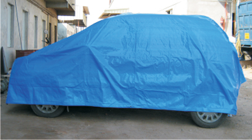 Car Cover view 2