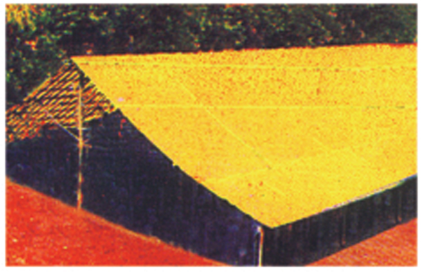 Mandap shed view 2