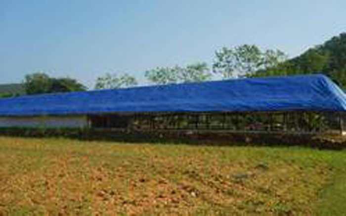 Poultry curtain view 2